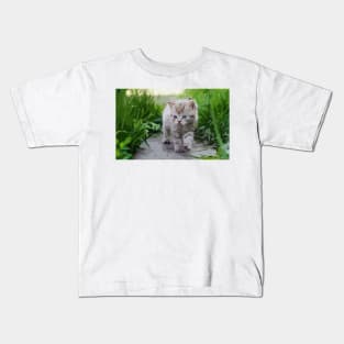 American Shorthair Kitten Digital Painting Kids T-Shirt